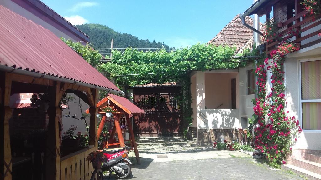 Pensiunea Razvan Gura Râului Exterior photo